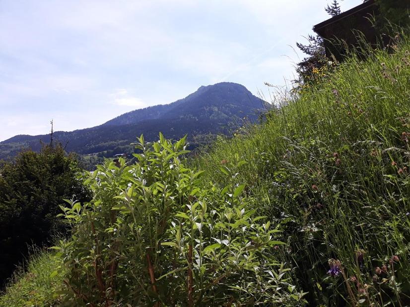 Ferienwohnung Fendt Berchtesgaden Luaran gambar